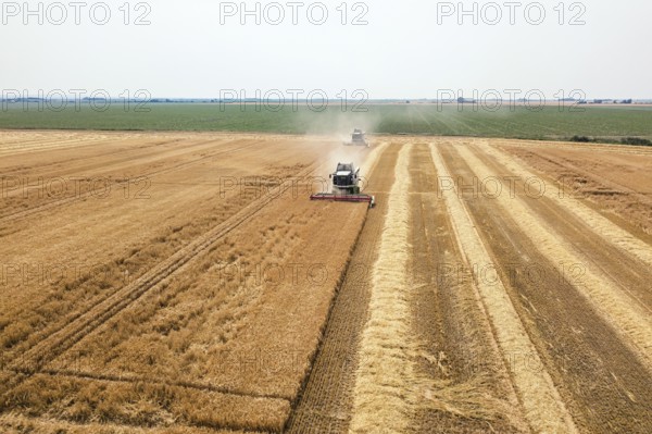 Combine harvester working on a wheat field. Combine harvester Aerial view