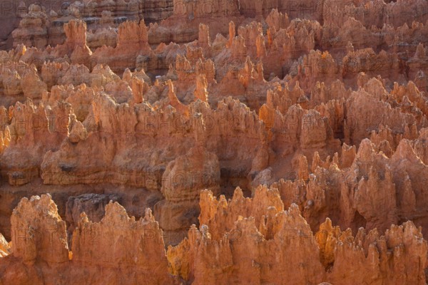 Bryce Canyon, Utah, USA