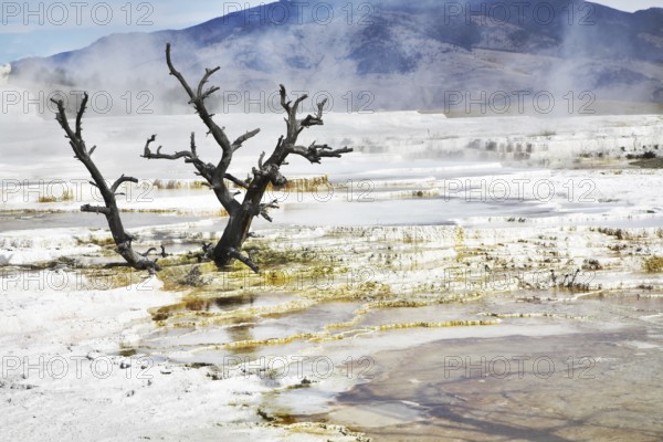 Improbably fantastic landscape in Yellowstone national Park