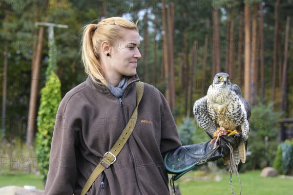 Animal keeper apprentice Nadin with saker falcons Skiure