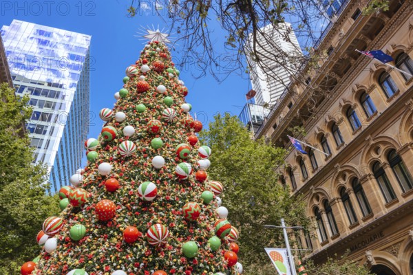 SYDNEY, AUSTRALIA DECEMBER 3 2023: Martin Place with Christmas tree, lights and decorations in the middle of a busy day in Sydney CBD, New South Wales, Australia
