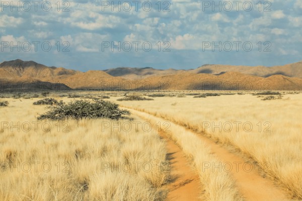 Dirt Road in landscape desert at sunset. Solitaire, Namibia