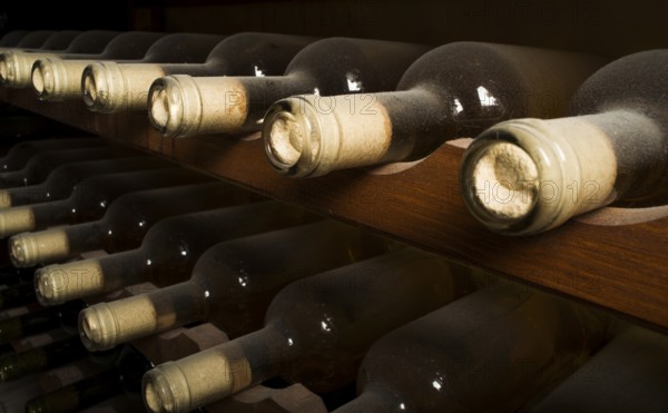 Wine bottles on shelf. Wine cellar. Close up wine bottles