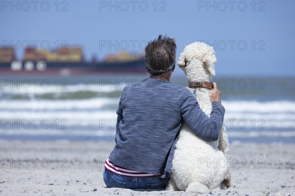 Woman sits together with her dog, a white poodle, amicably familiar on the beach in the sunshine, hugs him and looks at the sea, a ship passes by, Groede, Zeeland, Netherlands
