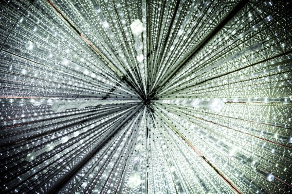 Light of wallpaper (LED lighting). Shooting Location: Tokyo metropolitan area