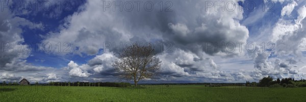 Cloud formations with tree