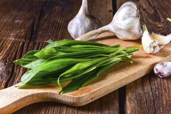 Fresh and tasty wild garlic