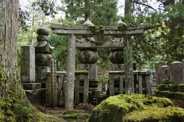 Okunoin cemetery at Mount Koya and Koya-san in Wakayama, Japan. World Heritage Site, Koya-san, Japan