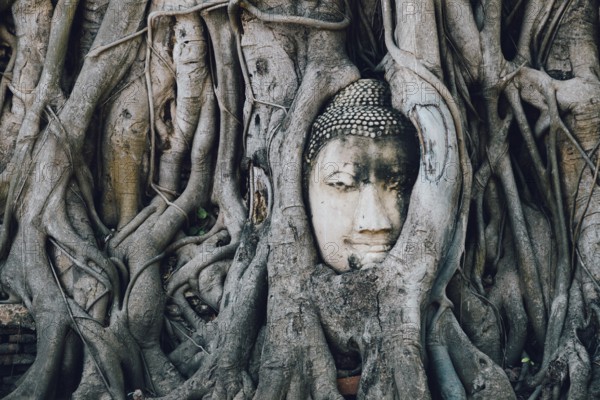 Buddha statue trapped in tree roots at Wat Maha That, Ayutthaya, Thailand