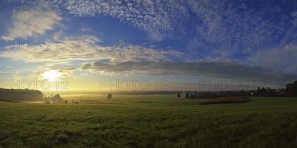 Morning atmosphere in the Altshausener Ried