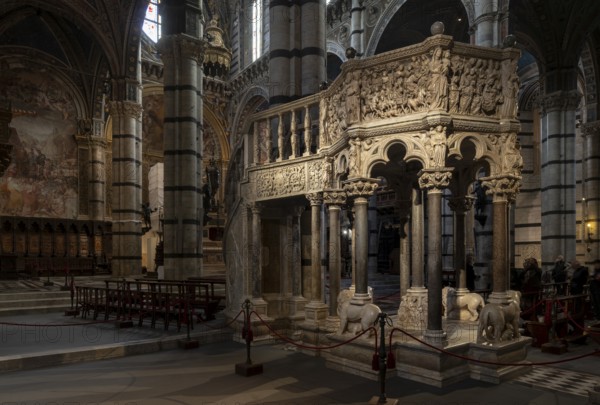 Siena, Duomo Santa Maria, interior, pulpit 1266-1268 by Nicola Pisano