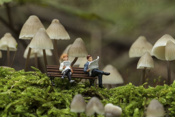 Small figures reading the newspaper and resting under the fungus mycena arcangeliana in the forest in holland