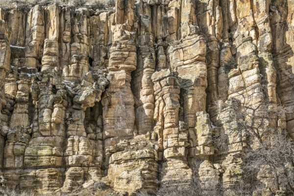 Sandstone cliff with columns and pillars, Colorado near State Bridge