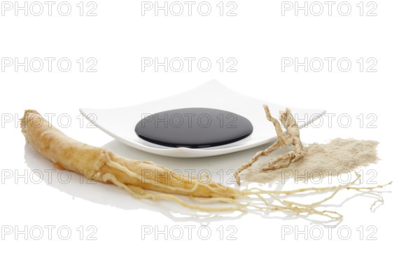 Pure ginseng powder and extract with ginseng root, isolated on white background. Korean ginseng. Adaptogen, natural remedy. Medicinal plant