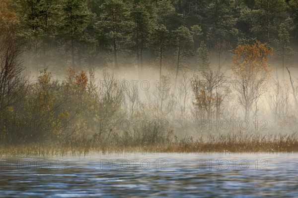 Gorgeous autumn landscape with river and misty forest, in the out-of-doors, boat trip on the river