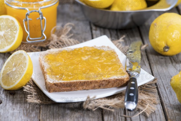 Lemon Juice on a Sandwich with fresh fruits in the background