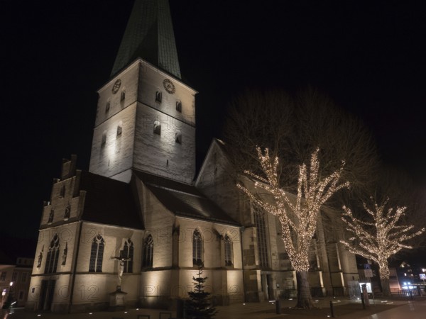 A large church at night with Gothic architecture and illuminated trees in the foreground, Borken, Münsterland, North Rhine-Westphalia, Germany