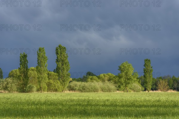 Stormy skies over a meadow in rainy spring weather. Alsace, France