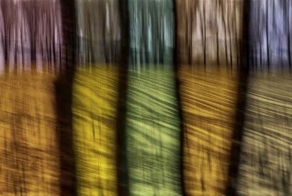 Traumatic landscape