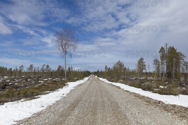 Gravel Julma-Ölkyntie road in forest in cloudy spring weather, Hossa National, Park, Suomussalmi, Finland