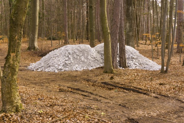 A white cairn in the woods