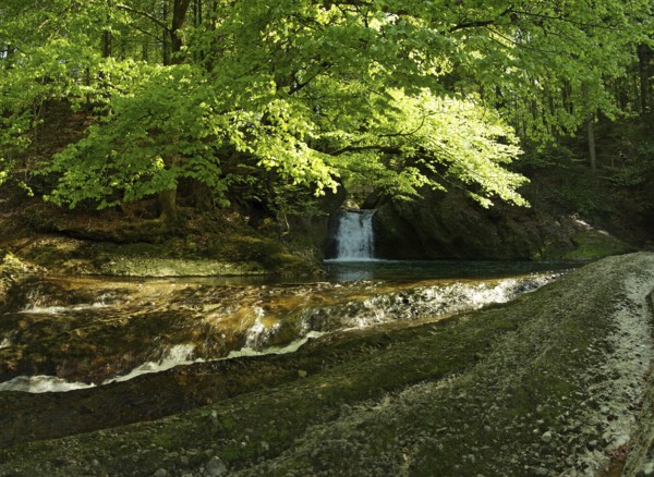 The Upper Argen in the Eistobel near Maierhöfen in the Allgäu