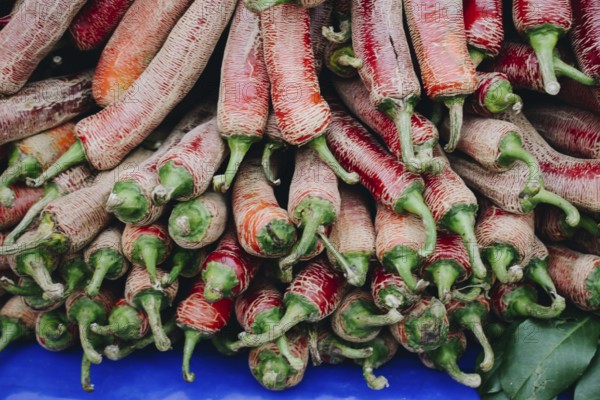 A Lot of Red Chilli Peppers found as food background
