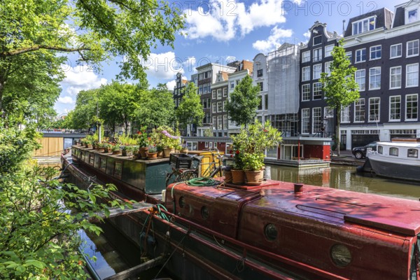Houseboats in Amsterdam in summertime with beautiful houses in the background and Green trees