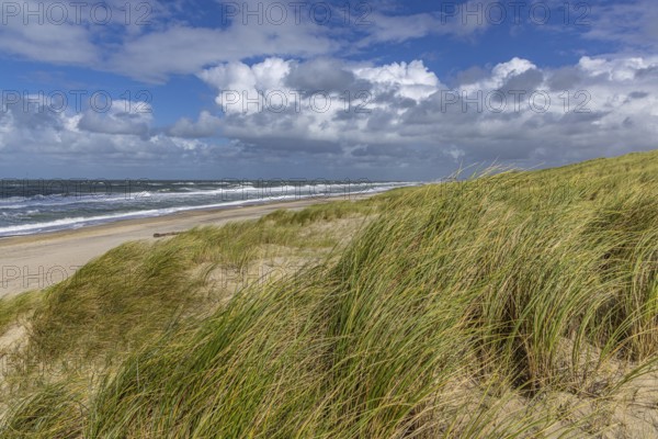 Stenbjerg Landingsplads, Thy, Jutland, Denmark