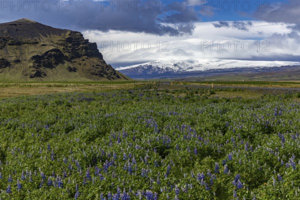 Roadside ring road, Iceland
