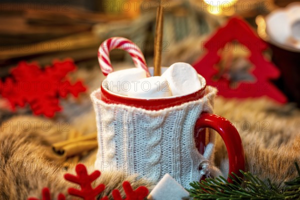 Hot chocolate with marshmallow