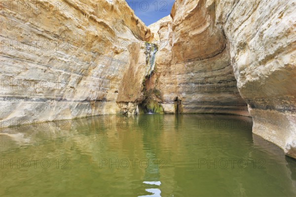 Sandstone canyon walls form round bowl. Thin jet waterfall form cold lake. Canyon Ein Avdat in Israel
