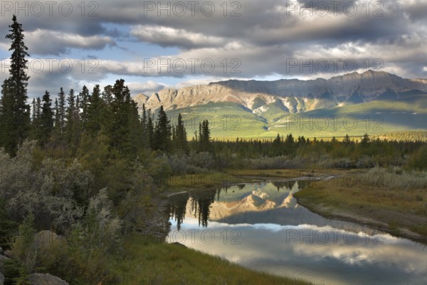 The silent river surrounded by fur-trees and bushes in the autumn