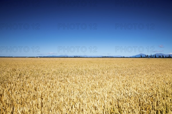 An image of a beautiful landscape in the south part of New Zealand