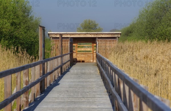 Landscape in Springtime at the Dümmer lake in Germany