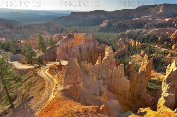 The well-known orange rocks in Bryce canyon in state of Utah USA