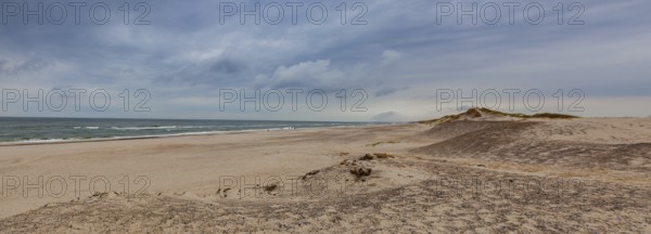 Holmsland Dunes next to Hvide Sande in Denmark has 40 km sandy beaches. Holmsland Dunes is the epitome of beaches, dunes, sun, wind and especially clean air.West Jutland, Denmark