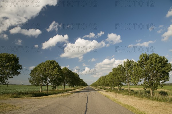 Dutch landscape with subway and cloudy sky