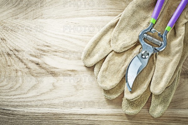 Leather safety gloves secateurs on wooden board gardening concept