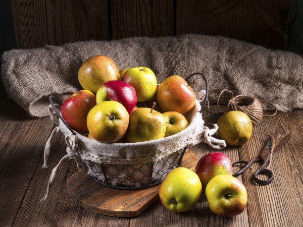 Fresh autumn apples in the basket