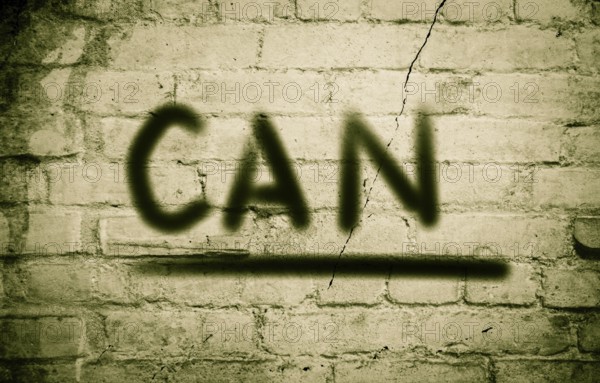 Can Concept