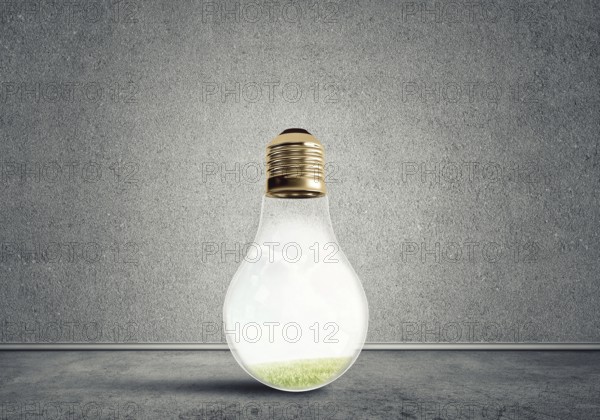 Glass light bulb in concrete empty room. Eco concept