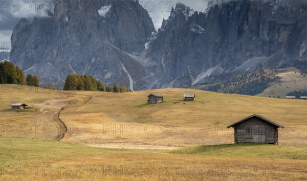 Landscape with beautiful autumn meadow field and the amazing Dolomite rocky peaks. Valley of Alpe di siusi Seiser Alm South Tyrol Italy. Autumn season