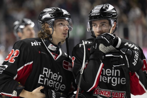 Laura Dick Cologne, LanxessArena, North Rhine-Westphalia, Hakon Hänelt (Koelner Haie, #92), Kevin Niedenz (Koelner Haie, #46), PENNY DEL, Kölner Haie-Düsseldorfer EG on 24/11/2024 at the LanxessArena in Cologne Germany