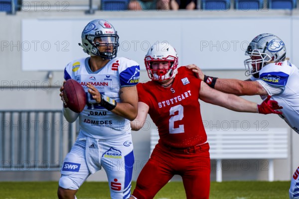 erima GFL2 / German Football League, Stuttgart Scopions vs. Pforzheim Wilddogs im Gazi-Stadion auf der Waldau Stuttgart am 10.Juni 2023 Deutschland