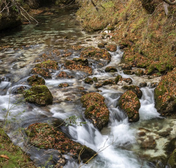 A stream flowing through the beautiful Mostnica Gorge in the Triglav National Park, located in the Julian Alps in Slovenia