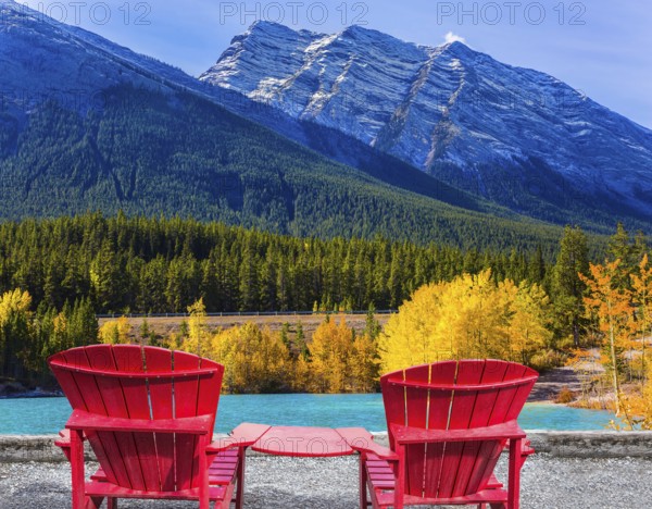 Artificial Abraham lake reflects the golden foliage of aspen and birches. Rocky Mountains of Canada, Autumn flood of Abraham lake. Concept of active, ecological and photo tourism
