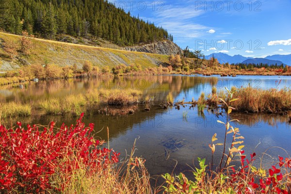 Beautiful fall day in the Rocky Mountains of Canada. Magnificent golden autumn. Mountains and lakes in autumnal gold foliage. The Lake Vermillon reflects the snow-white clouds