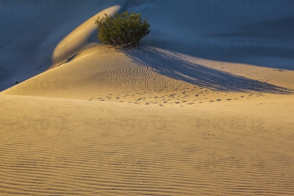 Small ripples of sand orange and traces of animals and people covered dunes. Early morning in a unique park in California