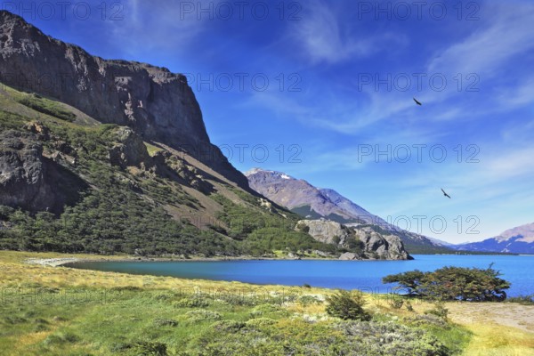 Mountain lake with blue water. Above the lake Andean condors flying in circles